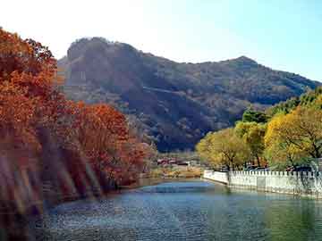 管家婆免费正版资起大全，生铁屑压块